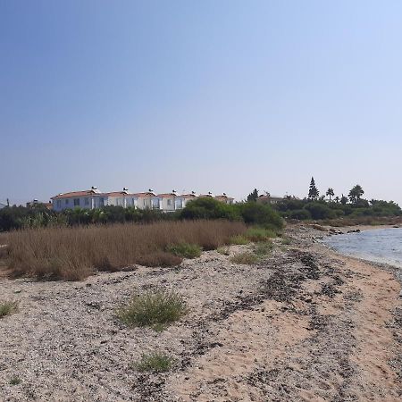 Villa Anastassia Ayia Napa Exteriör bild