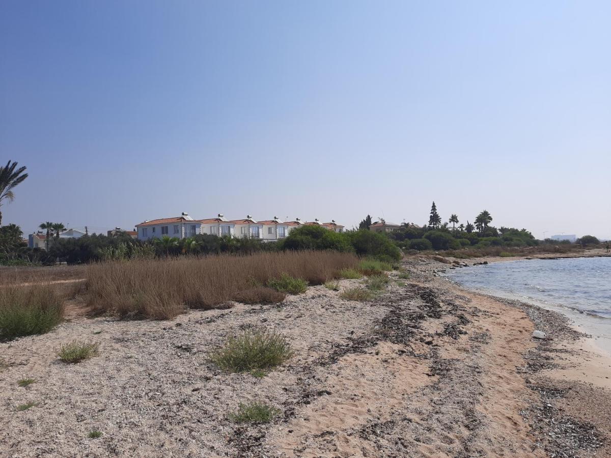 Villa Anastassia Ayia Napa Exteriör bild