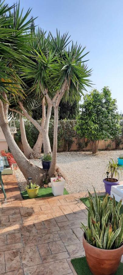Villa Anastassia Ayia Napa Exteriör bild